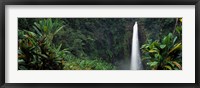 Framed Akaka Falls State Park, Hawaii, USA