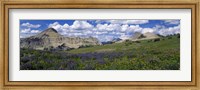 Framed USA, Wyoming, Grand Teton Park