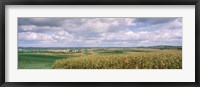 Framed Corn and Alfalfa Fields, Wisconsin