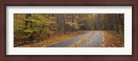 Framed Road passing through autumn forest, Great Smoky Mountains National Park, Cherokee, North Carolina, USA