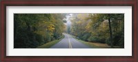 Framed Trees along a road, Blue Ridge Parkway, North Carolina, USA