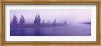 Framed USA, Wyoming, View of trees lining a misty river