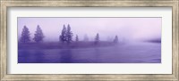 Framed USA, Wyoming, View of trees lining a misty river