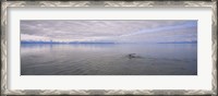 Framed Clouds over the sea, Frederick Sound, Alaska, USA