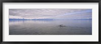 Framed Clouds over the sea, Frederick Sound, Alaska, USA