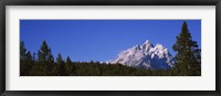Framed Trees in a forest with snow covered mountains in the background, Grand Teton National Park, Wyoming, USA