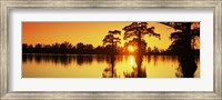 Framed Cypress trees at sunset, Horseshoe Lake Conservation Area, Alexander County, Illinois, USA