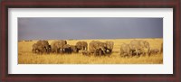 Framed Elephants on the Grasslands, Masai Mara National Reserve, Kenya