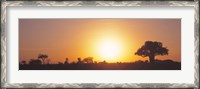 Framed Sunset, Tarangire, Tanzania, Africa