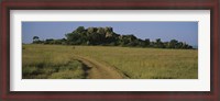 Framed Road passing through a grassland, Simba Kopjes, Road Serengeti, Tanzania, Africa