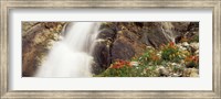 Framed Spalding Falls Grand Teton National Park WY