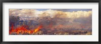 Framed Burning trees in a forest with mountain range in the background, Grand Teton, Grand Teton National Park, Wyoming, USA