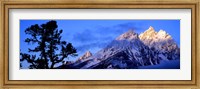 Framed Silhouette of a Limber Pine in front of mountains, Cathedral Group, Teton Range, Grand Teton National Park, Wyoming, USA