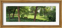 Framed Trees in a park, Adams Park, Wheaton, Illinois, USA