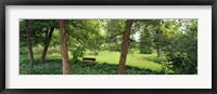 Framed Trees in a park, Adams Park, Wheaton, Illinois, USA