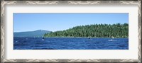Framed Tourists paddle boarding in a lake, Lake Tahoe, California, USA