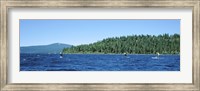 Framed Tourists paddle boarding in a lake, Lake Tahoe, California, USA