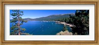 Framed Trees with lake in the background, Lake Tahoe, California, USA