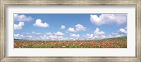 Framed Meadow flowers with cloudy sky in background