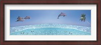 Framed Dolphins Leaping In Air