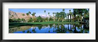 Framed Reflection of trees on water, Thunderbird Country Club, Rancho Mirage, Riverside County, California, USA
