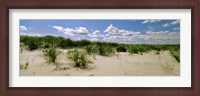 Framed Grass among the dunes, Crane Beach, Ipswich, Essex County, Massachusetts, USA
