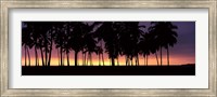 Framed Silhouette of palm trees on the beach, Puuhonua o Honaunau National Historical Park, Big Island, Hawaii, USA