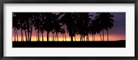 Framed Silhouette of palm trees on the beach, Puuhonua o Honaunau National Historical Park, Big Island, Hawaii, USA