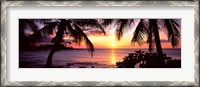 Framed Palm trees on the coast, Kohala Coast, Big Island, Hawaii, USA