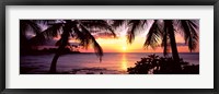 Framed Palm trees on the coast, Kohala Coast, Big Island, Hawaii, USA