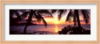 Framed Palm trees on the coast, Kohala Coast, Big Island, Hawaii, USA