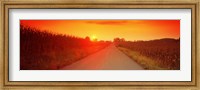 Framed Country road at sunset, Milton, Northumberland County, Pennsylvania, USA