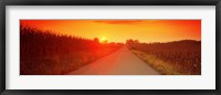 Framed Country road at sunset, Milton, Northumberland County, Pennsylvania, USA