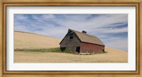Framed Barn in a wheat field, Colfax, Whitman County, Washington State, USA