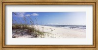 Framed Tall grass on the beach, Perdido Key Area, Gulf Islands National Seashore, Pensacola, Florida, USA