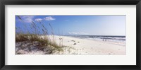 Framed Tall grass on the beach, Perdido Key Area, Gulf Islands National Seashore, Pensacola, Florida, USA