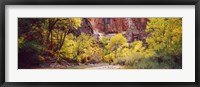 Framed Creek at sunset, Death Valley, California, USA