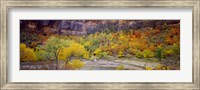Framed Big Bend in fall, Zion National Park, Utah, USA