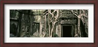 Framed Ruins of Ta Prohm Temple, Angkor, Cambodia