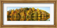 Framed Reflection of trees in a lake, Strawbridge Lake, Moorestown, New Jersey, USA