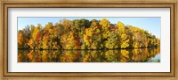 Framed Reflection of trees in a lake, Strawbridge Lake, Moorestown, New Jersey, USA