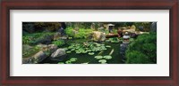 Framed Japanese Garden at University of California