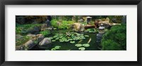 Framed Japanese Garden at University of California