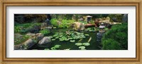 Framed Japanese Garden at University of California