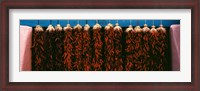 Framed Red peppers drying, New Mexico, USA