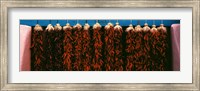Framed Red peppers drying, New Mexico, USA