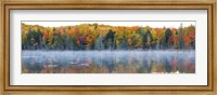 Framed Trees in autumn at Lake Hiawatha, Alger County, Upper Peninsula, Michigan, USA