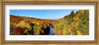 Framed Trees in Autumn at Dead River, Michigan