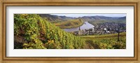 Framed High angle view of vineyards with town along the river, Bremm, Mosel River, Calmont, Rhineland-Palatinate, Germany