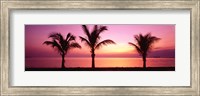 Framed Miami Beach, Florida, USA